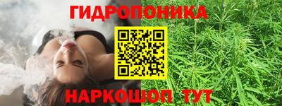 скорость Будённовск