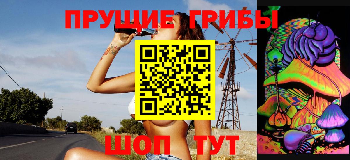 Заинск  Галлюциногенные грибы мицелий  купить наркотик  Вход с VPN 