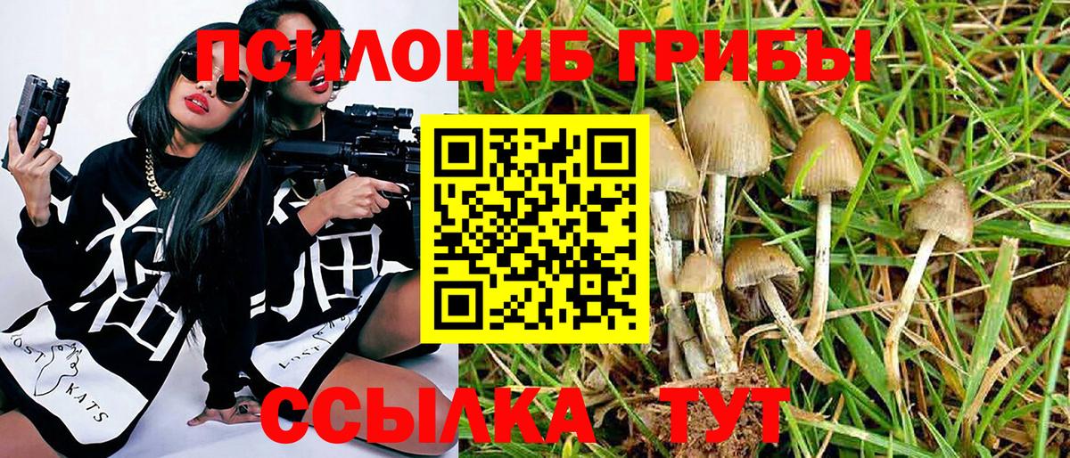 Псилоцибиновые грибы прущие грибы Заинск